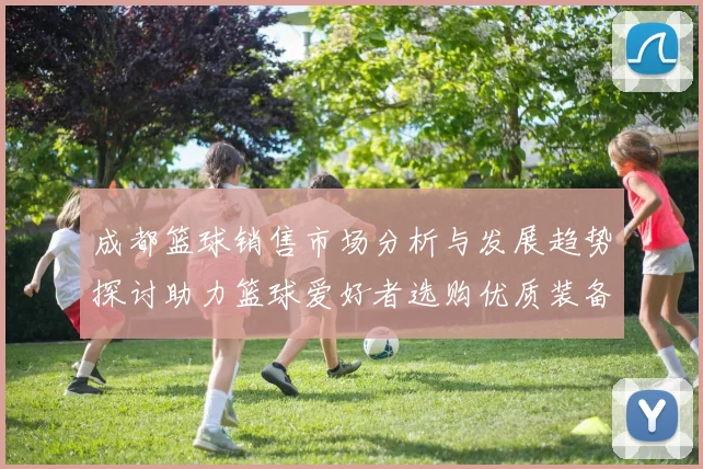 成都篮球销售市场分析与发展趋势探讨助力篮球爱好者选购优质装备