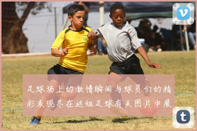 足球场上的激情瞬间与球员们的精彩表现尽在这组足球有关图片中展现