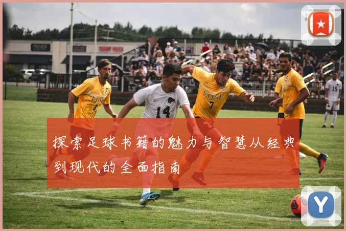 探索足球书籍的魅力与智慧从经典到现代的全面指南