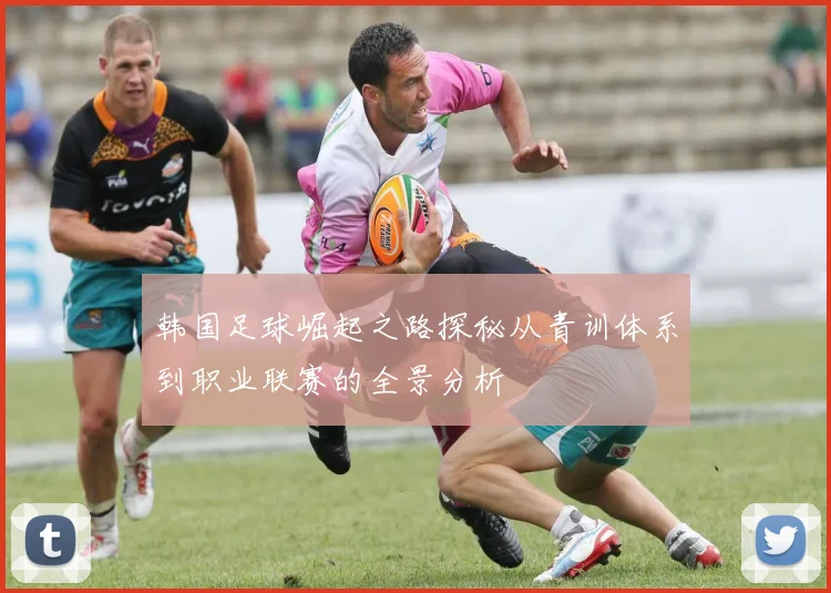韩国足球崛起之路探秘从青训体系到职业联赛的全景分析