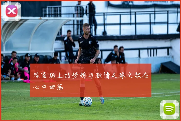 绿茵场上的梦想与激情足球之歌在心中回荡