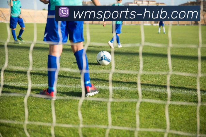 完美体育下载全站App